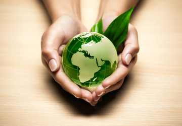 Top 10 Tips for Eco-Friendly Real Estate Practices